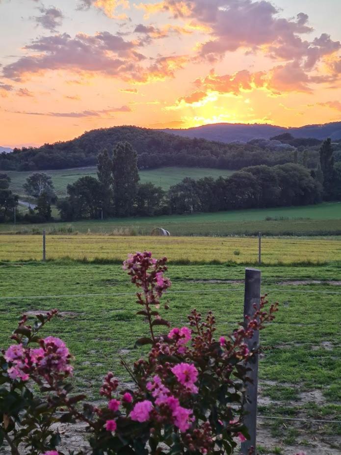 Gite De Charme La Martinelle La Bégude-de-Mazenc Buitenkant foto